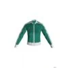 Arena Veste Icons Femme Relax IV Team Vert