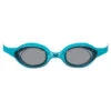 Arena Lunettes Spider - Smoke Mint Black