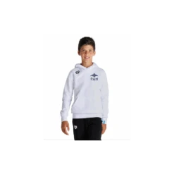 Arena Sweat Shirt Junior Pays D'Aix Natation